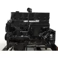 CUMMINS M11 CELECT Engine Assembly thumbnail 4