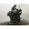 CUMMINS M11 CELECT Engine Assembly thumbnail 2