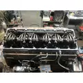 CUMMINS M11 CELECT Engine Assembly thumbnail 11