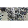 CUMMINS M11 CELECT Engine Assembly thumbnail 13