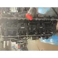 CUMMINS M11 CELECT Engine Assembly thumbnail 6