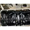 CUMMINS M11 CELECT Engine Assembly thumbnail 5