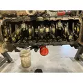 CUMMINS M11 CELECT Engine Assembly thumbnail 6