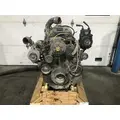 CUMMINS M11 CELECT Engine Assembly thumbnail 2
