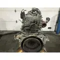 CUMMINS M11 CELECT Engine Assembly thumbnail 5