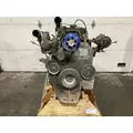 CUMMINS M11 CELECT Engine Assembly thumbnail 2
