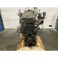 CUMMINS M11 CELECT Engine Assembly thumbnail 5