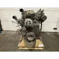 CUMMINS M11 CELECT Engine Assembly thumbnail 2