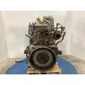 CUMMINS M11 CELECT Engine Assembly thumbnail 8