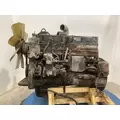 CUMMINS M11 CELECT Engine Assembly thumbnail 9