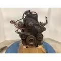 CUMMINS M11 CELECT Engine Assembly thumbnail 11