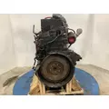 CUMMINS M11 CELECT Engine Assembly thumbnail 9