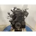 CUMMINS M11 CELECT Engine Assembly thumbnail 2