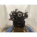 CUMMINS M11 CELECT Engine Assembly thumbnail 2