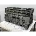 CUMMINS M11 Celect Cylinder Block thumbnail 1