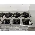 CUMMINS M11 Celect Cylinder Block thumbnail 8