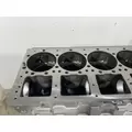 CUMMINS M11 Celect Cylinder Block thumbnail 9