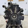 CUMMINS M11 Engine Assembly thumbnail 4