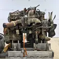 CUMMINS M11 Engine Assembly thumbnail 7