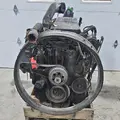 CUMMINS M11 Engine Assembly thumbnail 4