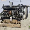 CUMMINS M11 Engine Assembly thumbnail 6
