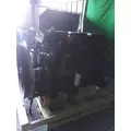 CUMMINS N14 CELECT+ 2390 ENGINE ASSEMBLY thumbnail 13