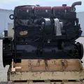CUMMINS N14 CELECT+ Engine Assembly thumbnail 4