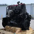 CUMMINS N14 CELECT+ Engine Assembly thumbnail 5