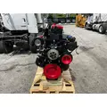 CUMMINS N14 CELECT+ Engine Assembly thumbnail 4