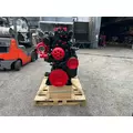 CUMMINS N14 CELECT+ Engine Assembly thumbnail 4