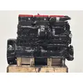 CUMMINS N14 CELECT+ Engine Assembly thumbnail 6