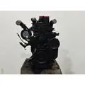 CUMMINS N14 CELECT+ Engine Assembly thumbnail 8