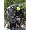 CUMMINS N14 CELECT+ Engine Assembly thumbnail 3