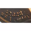CUMMINS N14 CELECT+ Fan Clutch thumbnail 6