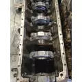 CUMMINS N14 CELECT Cylinder Block thumbnail 2