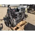 CUMMINS N14 CELECT Fuel Injection Pump thumbnail 2