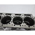 CUMMINS N14 Celect Plus Cylinder Block thumbnail 7