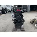 CUMMINS N14 Celect Plus Engine Assembly thumbnail 5