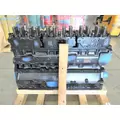 CUMMINS N14 Celect Engine Assembly thumbnail 3