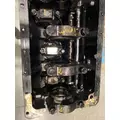 CUMMINS N14 M Cylinder Block thumbnail 6