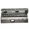 CUMMINS N14 Cylinder Block thumbnail 10