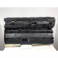 CUMMINS N14 Cylinder Block thumbnail 3