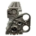CUMMINS N14 Cylinder Block thumbnail 8