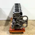 CUMMINS N14 Cylinder Block thumbnail 6