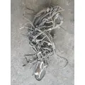 CUMMINS N14 Engine Assembly thumbnail 1