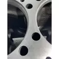 CUMMINS NH/NT 855 Cylinder Block thumbnail 11