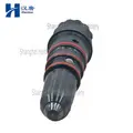 CUMMINS NTC_3047973 Fuel Injector thumbnail 2