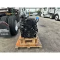 CUMMINS QSB 4.5 Engine Assembly thumbnail 4