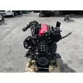 CUMMINS QSB 6.7 Engine Assembly thumbnail 3