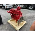 CUMMINS QSB 6.7 Engine Assembly thumbnail 9